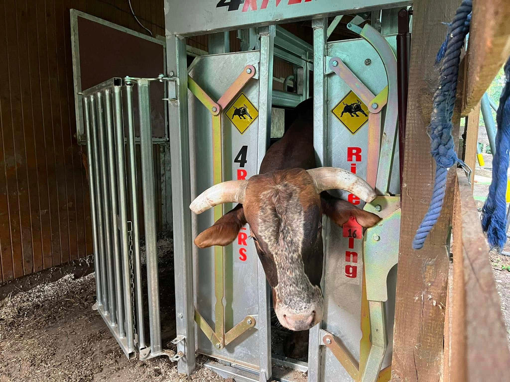 4Rivers River King Squeeze Chute