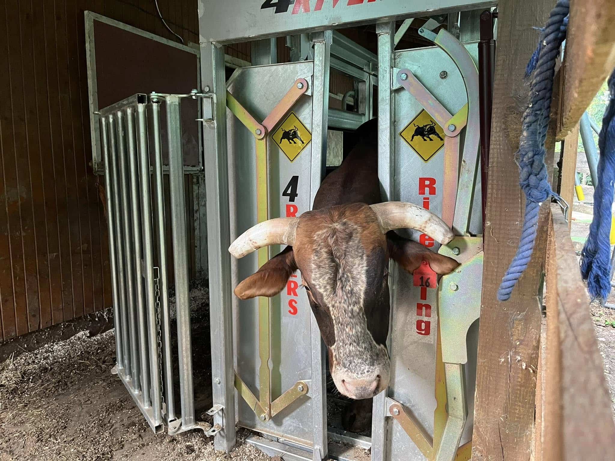 4Rivers River King Squeeze Chute